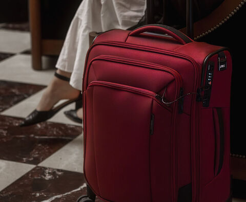 <span style='font-weight: 500;'>HANDBAGAGE</span>