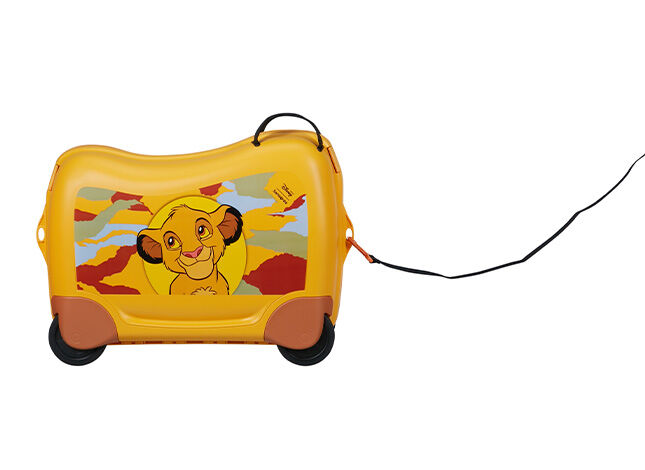 Multifunctionele riem