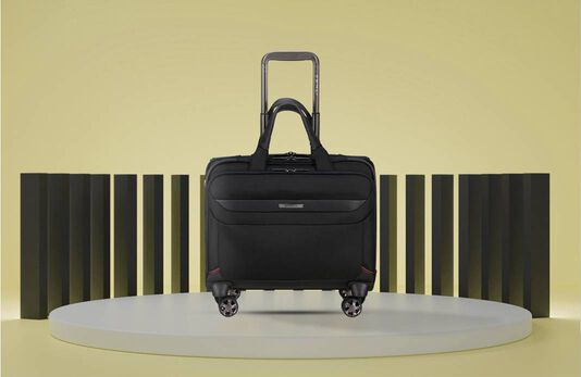 krassen Citroen oplichterij Samsonite kwalitatieve bagage | Samsonite Nederland