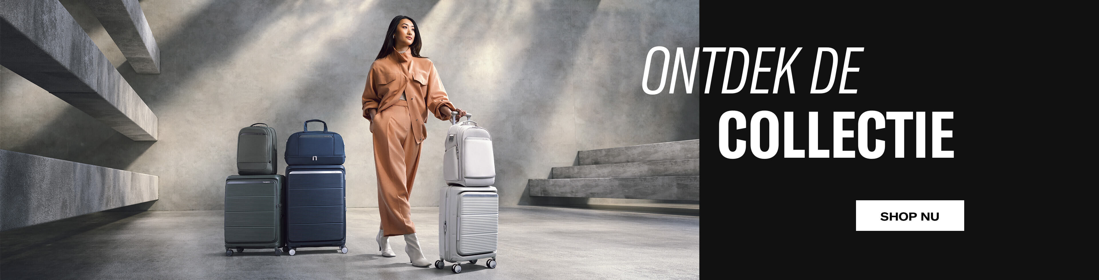 Discover the Paralux Collection