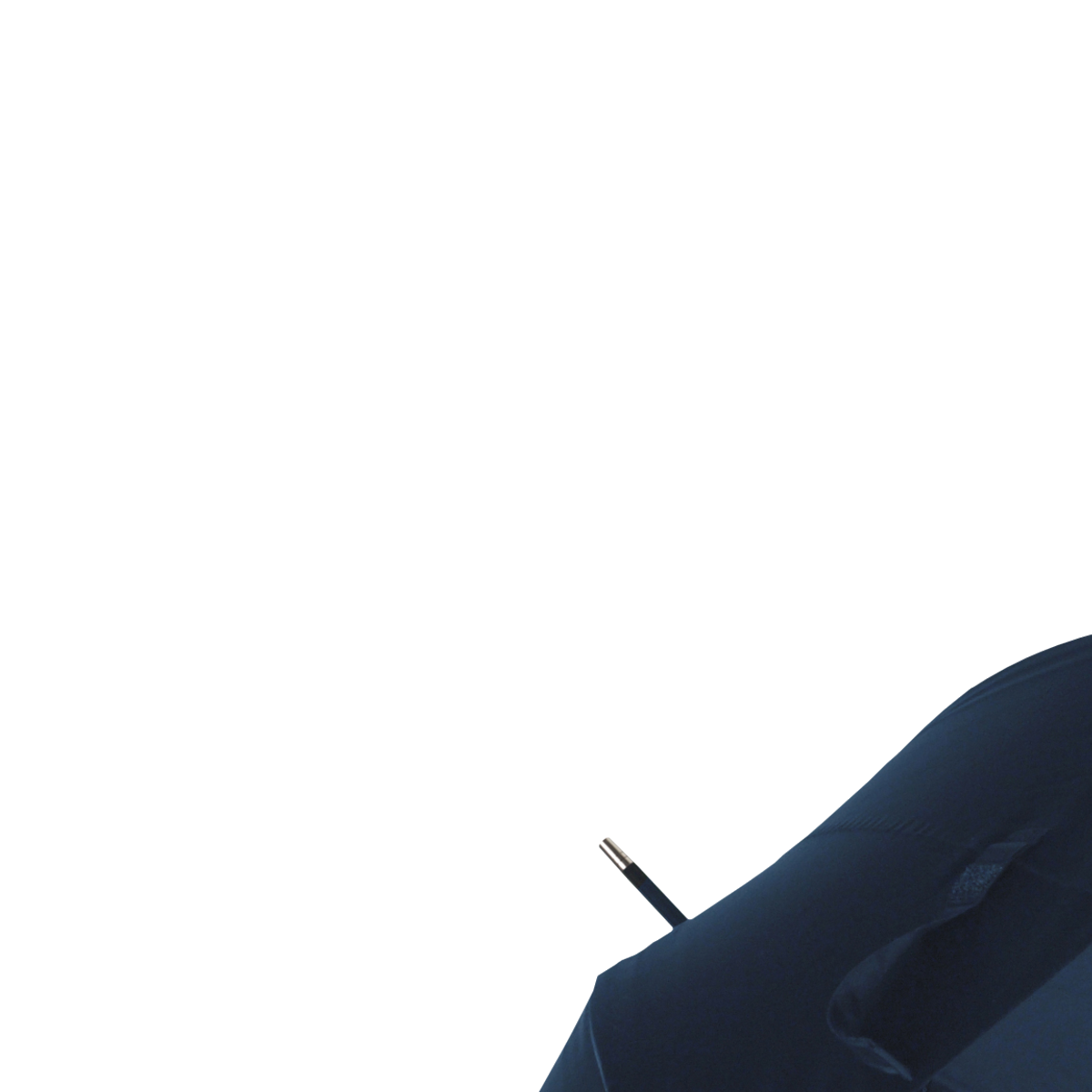 Samsonite Rain Pro Stick Umbrella blue