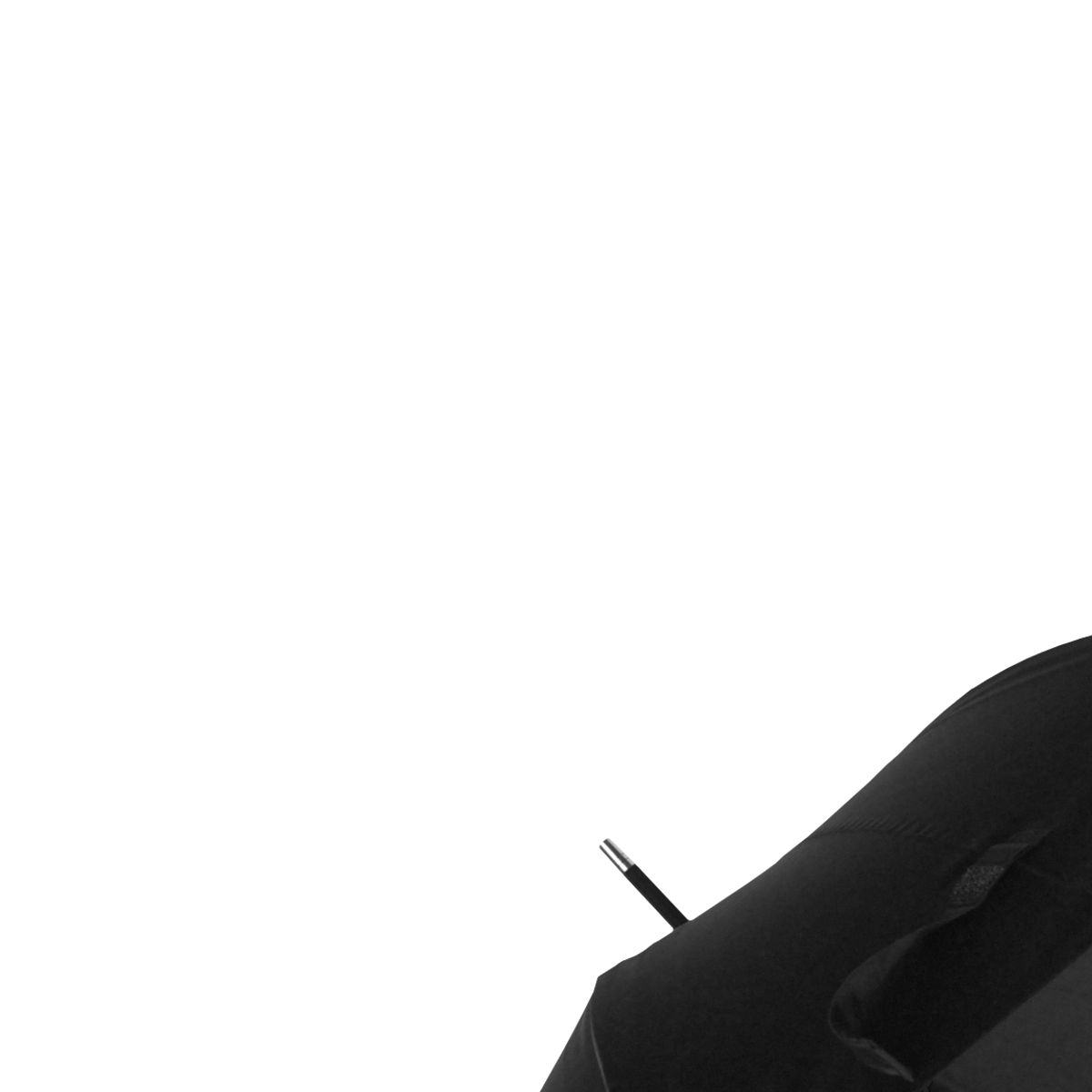 Samsonite Rain Pro Paraplu Zwart